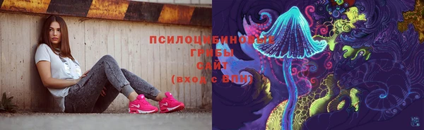 индика Баксан