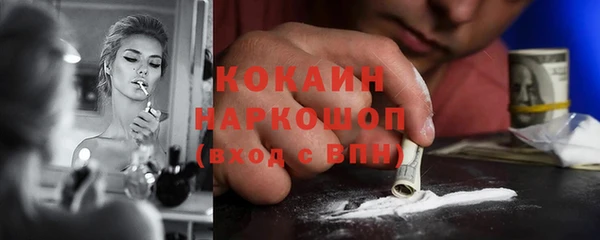 индика Баксан